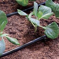 TUBO ALA PER IRRIGAZIONE GOCCIOLANTE CLABER 25 METRI 90355