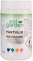 PASTIGLIE MULTIAZIONE PER PISCINA SOLGARDEN KG.1