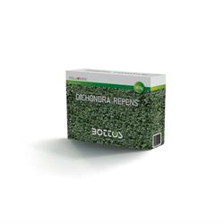 SEMENZA PER PRATO BOTTOS DICONDRA REPENS GR.500