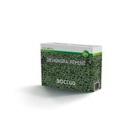 SEMENZA PER PRATO BOTTOS DICONDRA REPENS GR.500