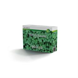 SEMENZA TRIFOGLIO NANO BOTTOS GR.500