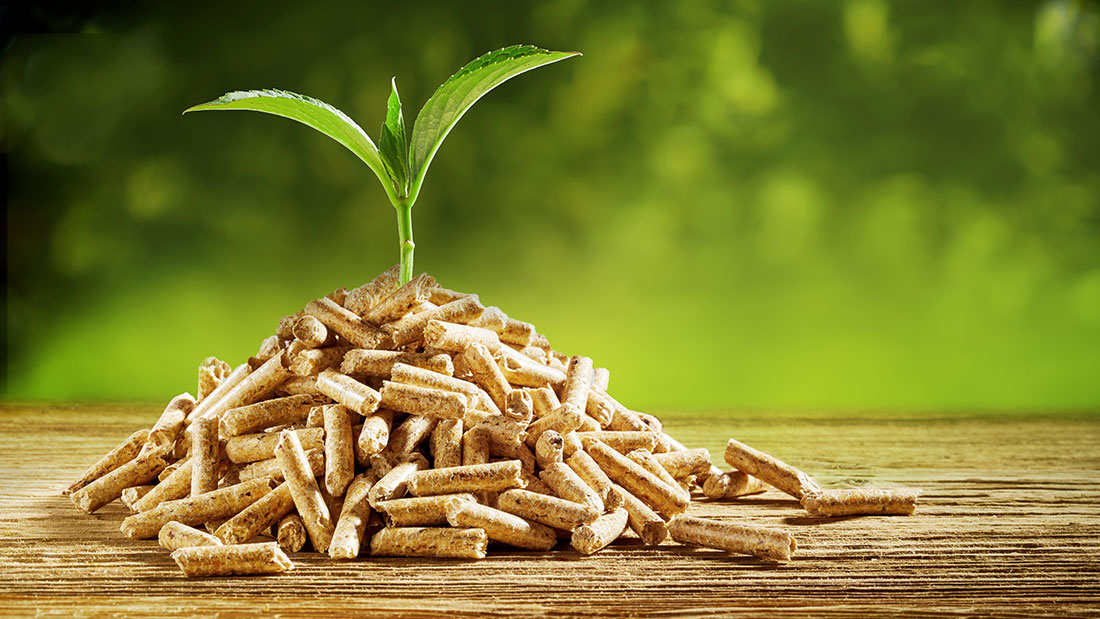 Pellet naturale al 100%. Come usarlo