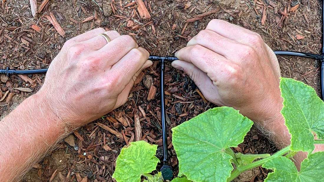 irrigazione-a-goccia-fai-da-te-1100x619