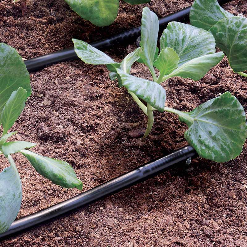 Tubo ala gocciolante per irrigazione a goccia in azione